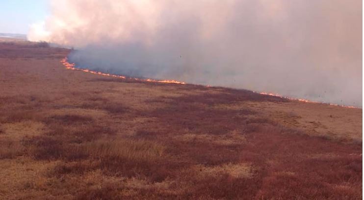 Realizan operativos aéreos y náuticos por nuevos incendios en las islas del delta del Paraná | Noticias