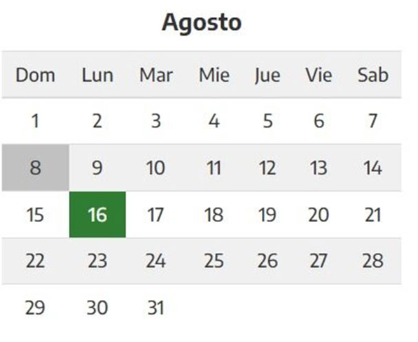 El 16 de agosto será feriado y quedarán 6 hasta fin de año | Información General