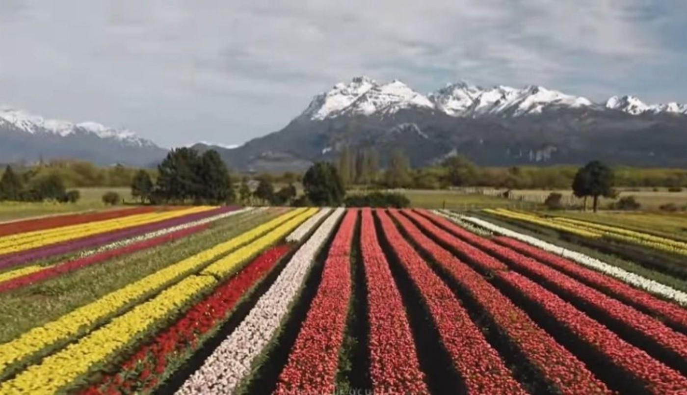 Presentaron un documental con las "maravillas ocultas" de la Argentina | Información General