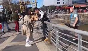 Videos: Cristian U salvó a un perro que cayó a un dique de Puerto Madero | Redes