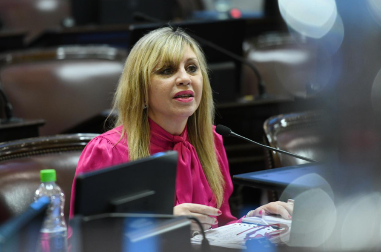 Sacnun propuso la identificación y promoción de la industria nacional de la maquinaria agrícola | Legislativas