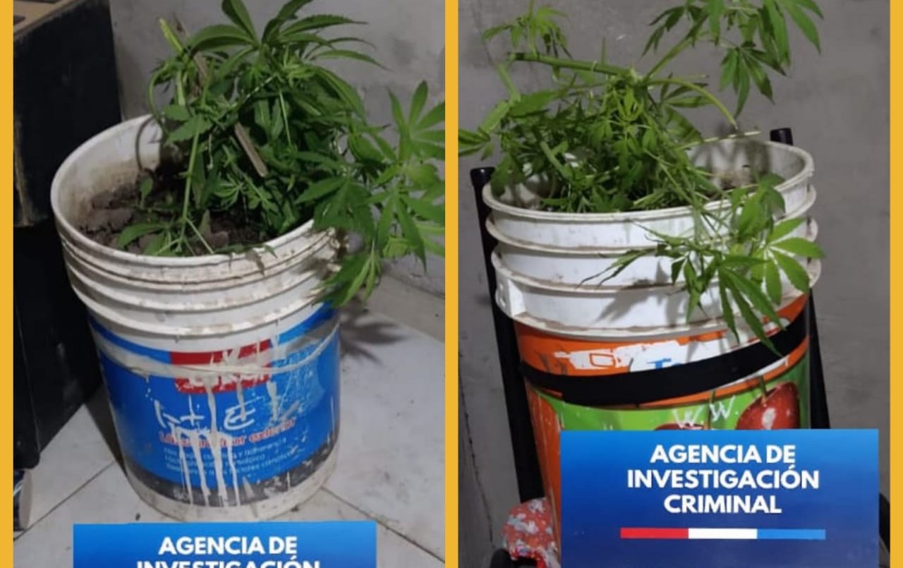 Detienen a un ladrón con joyas, dinero en efectivo y marihuana | Noticias