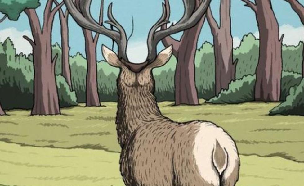 Reto visual: encuentra al animal oculto en el acertijo | Redes
