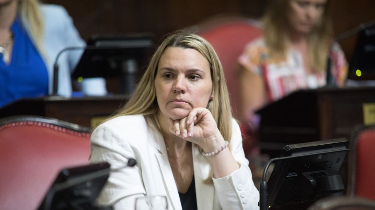 Denunció que trabajaba como niñera para una senadora del PRO y que le pagaba con un contrato en la Cámara | Nacionales