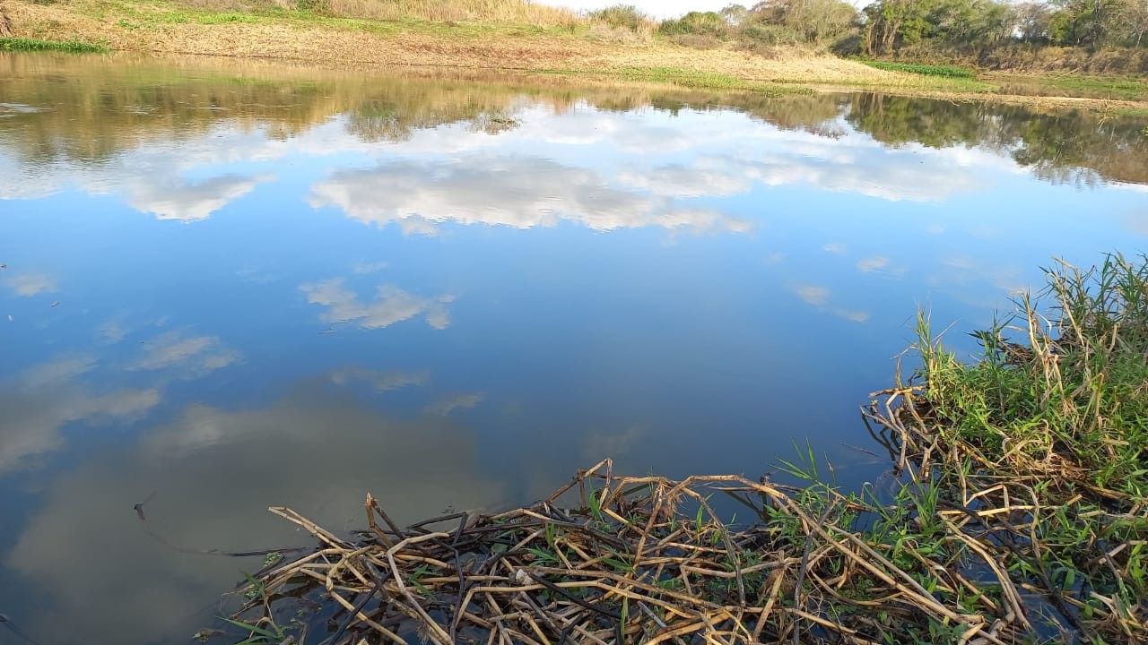 Arroyo Leyes: dos niños desaparecieron en el río y son buscados por buzos tácticos | Noticias