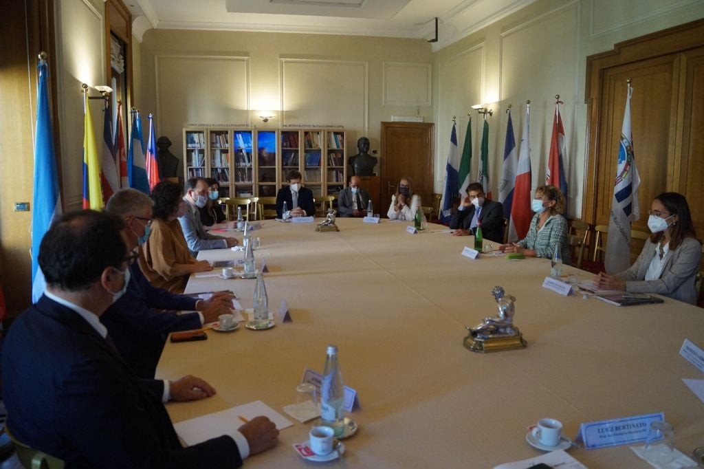 Vizzotti participa de la reunión de ministros de Salud del G-20 | Nacionales