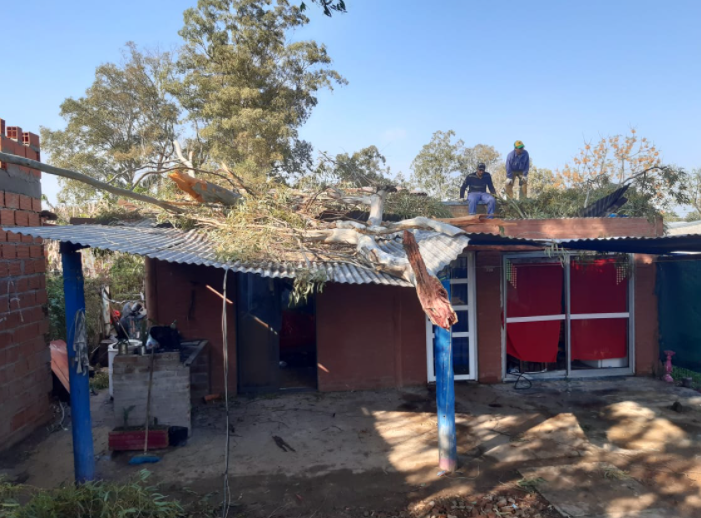Luego del temporal: el municipio de Santo Tomé trabaja en la recolección de árboles | Noticias