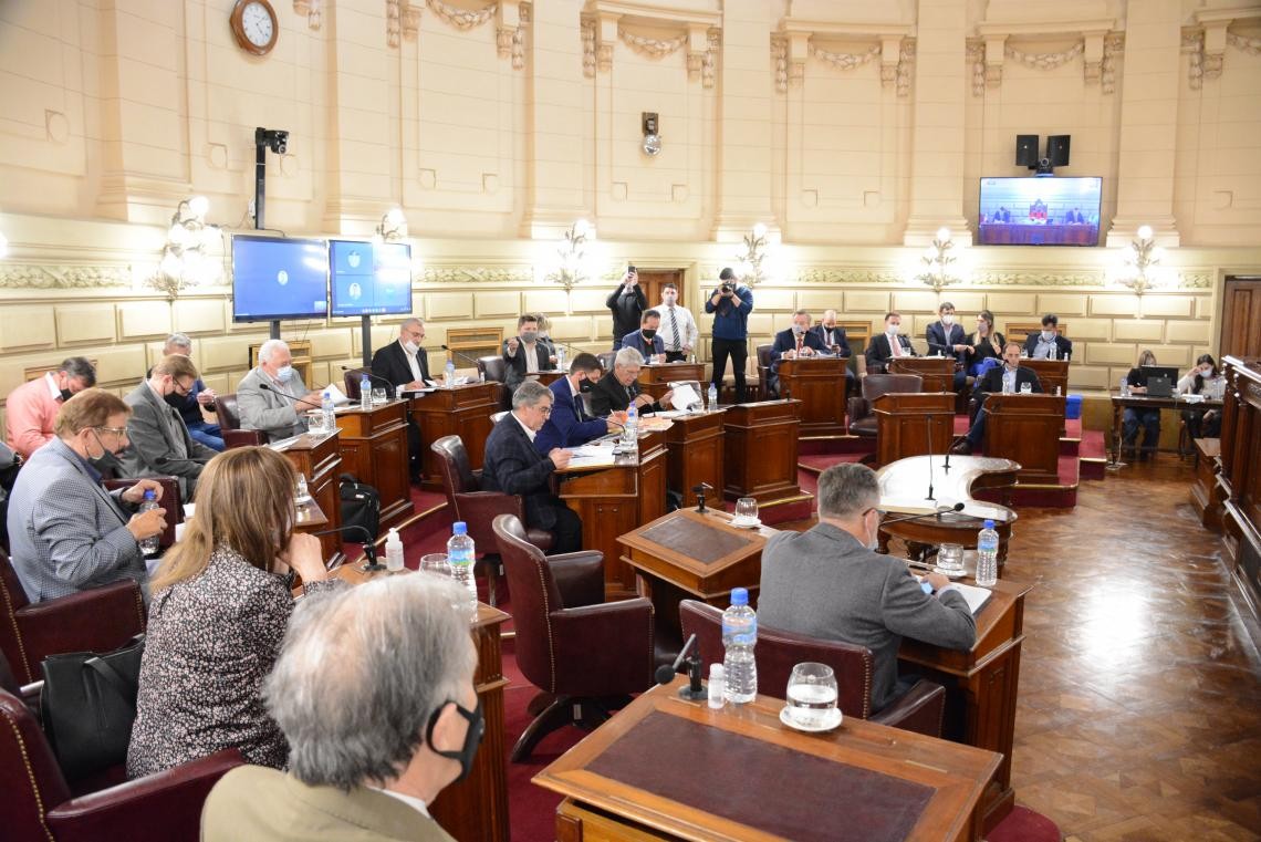 Volvió a sesionar el Senado: se aprobó que la actividad física sea considerada esencial | Legislativas