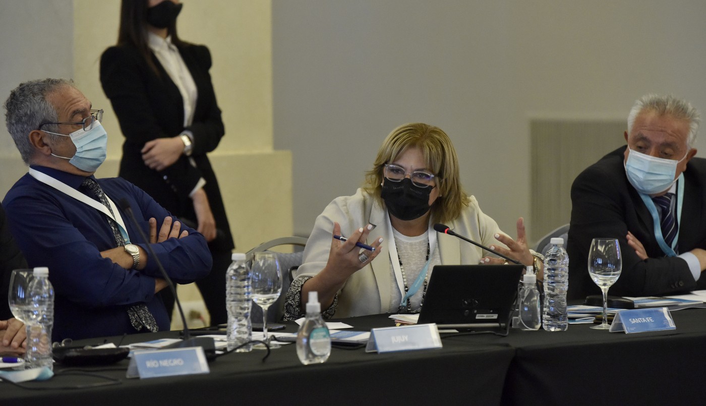 Sonia Martorano participó de la reunión del Consejo Federal De Salud | Noticias