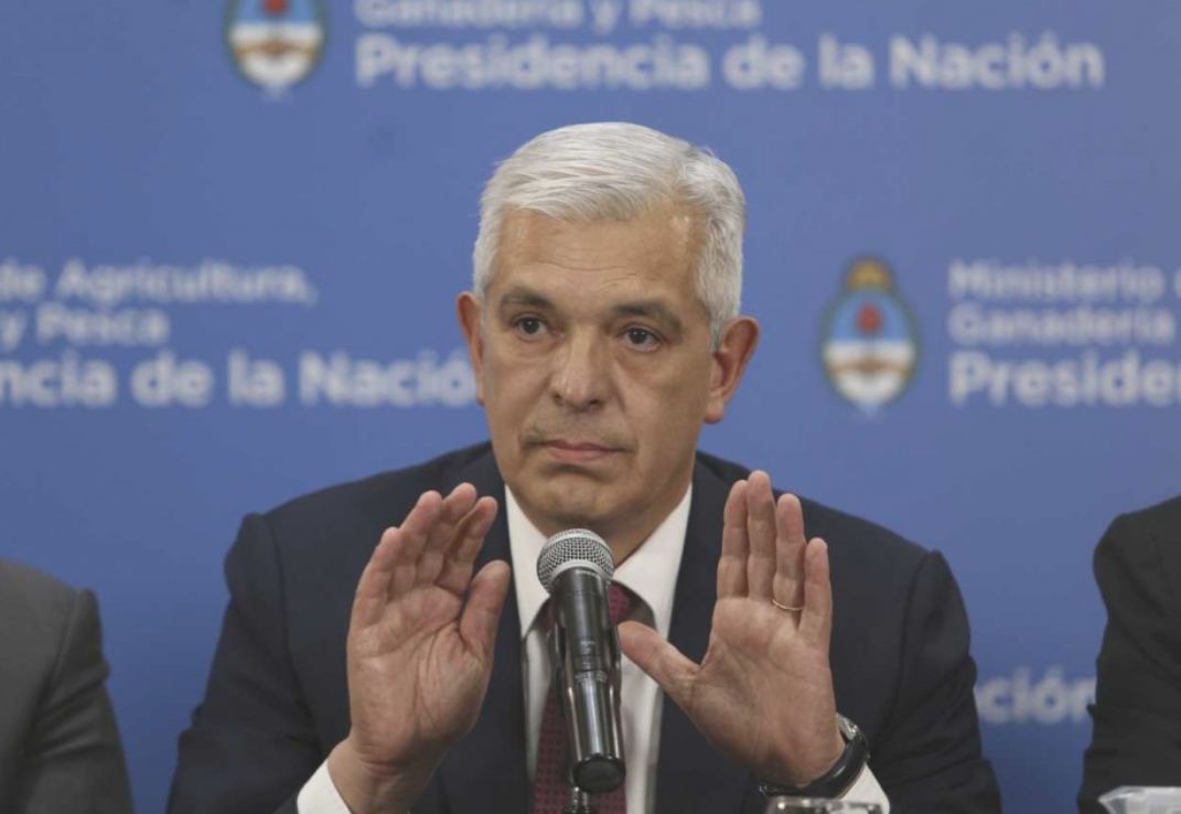 Domínguez: "La exportación de carne no podrá superar nunca el 24% de la producción" | Nacionales