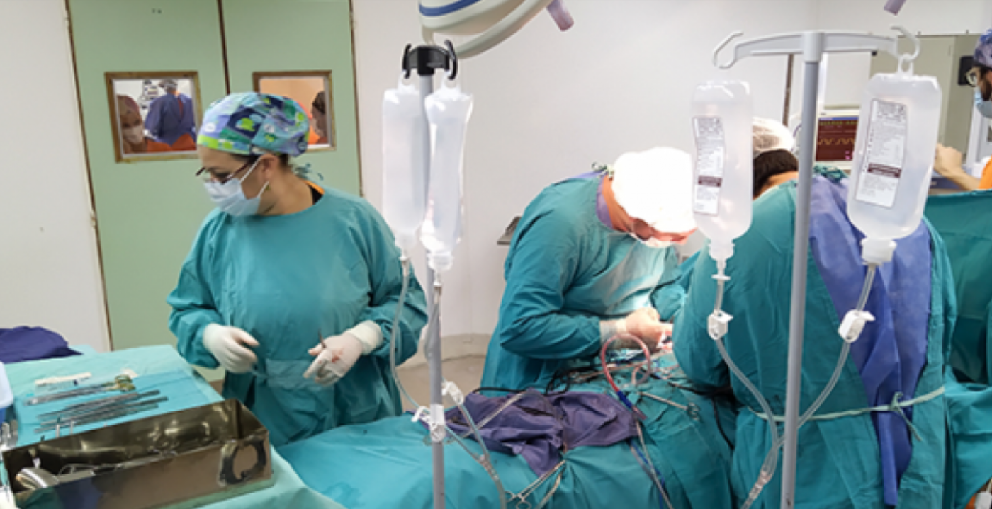Santa Fe sigue siendo la segunda provincia con más donantes de órganos | Noticias