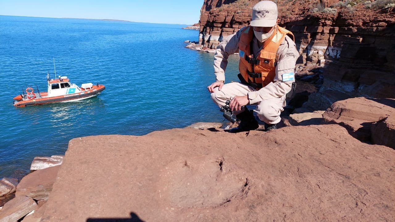 Hallazgo en la Patagonia: Prefectura encontró huellas de dinosaurio | Nacionales