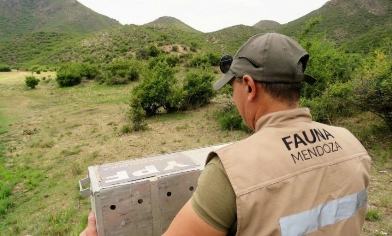 Excluyen a cinco guardaparques por copiarse en un concurso público | Nacionales