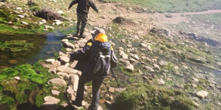 Rescataron a una mujer que se había extraviado en el Cerro Tres Picos | Nacionales