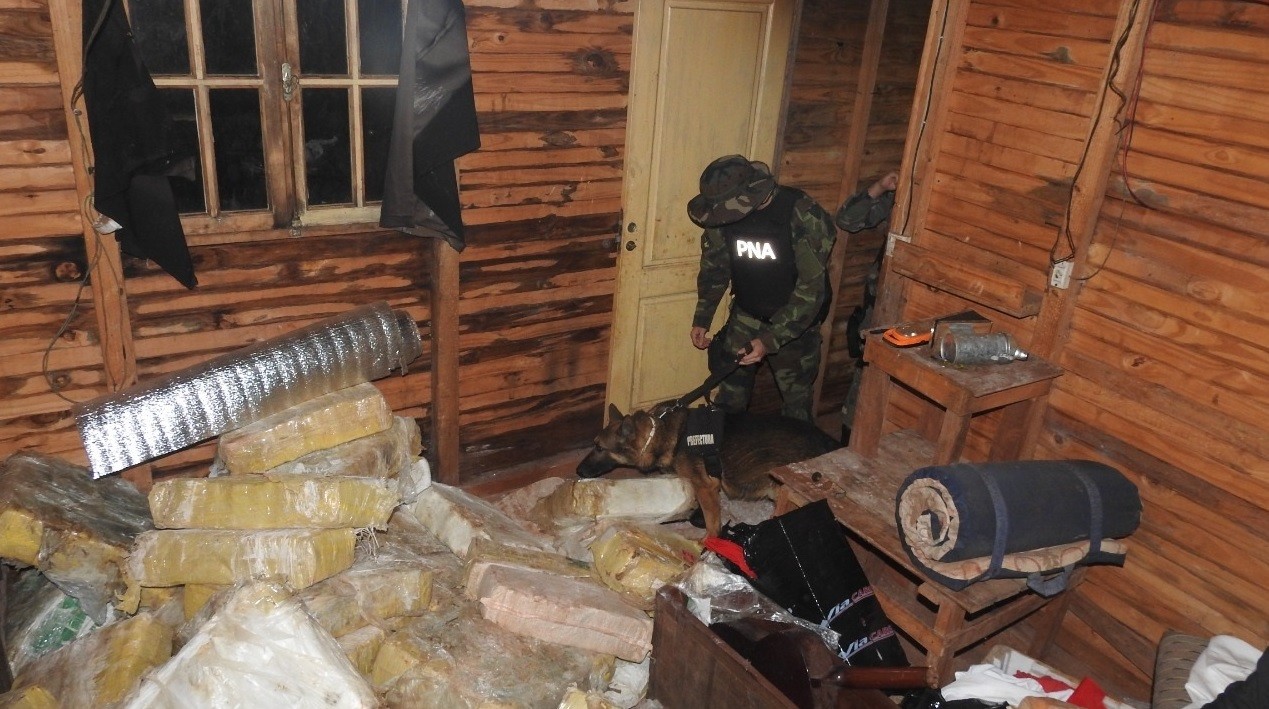 Con la ayuda de Ícaro, el can detector de narcóticos, Prefectura secuestró 5 toneladas de marihuana | Nacionales