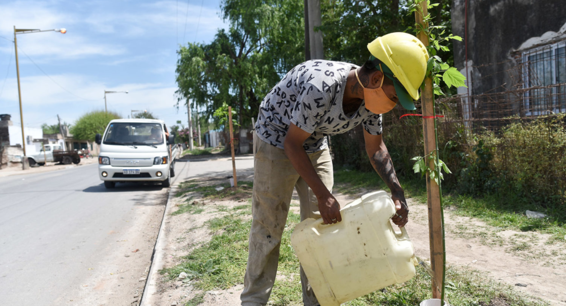 Se plantan casi 400 nuevos árboles en diferentes obras de la ciudad | Información General