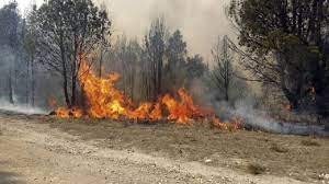 Nueve provincias afectadas por incendios forestales | Nacionales