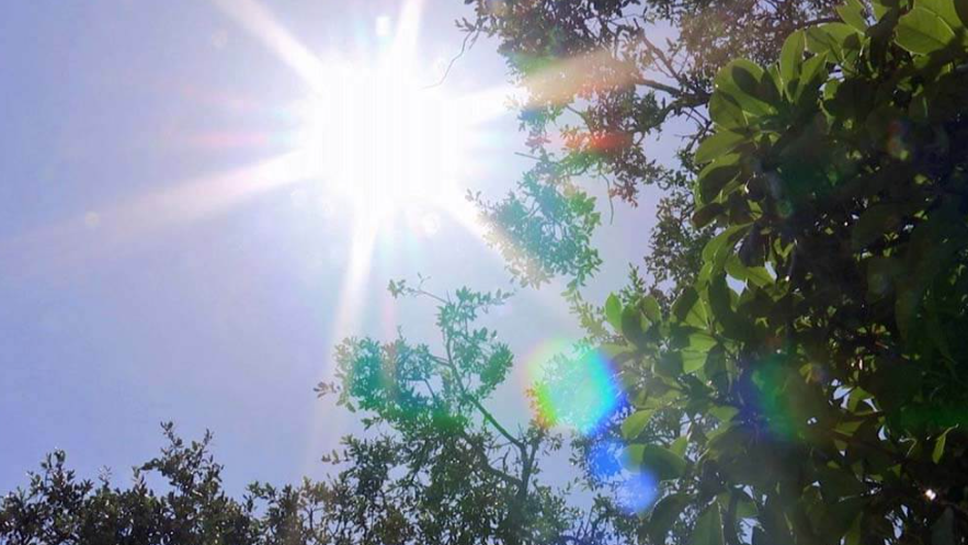 El tiempo en la ciudad: Para este viernes se espera otro día sofocante | Información General