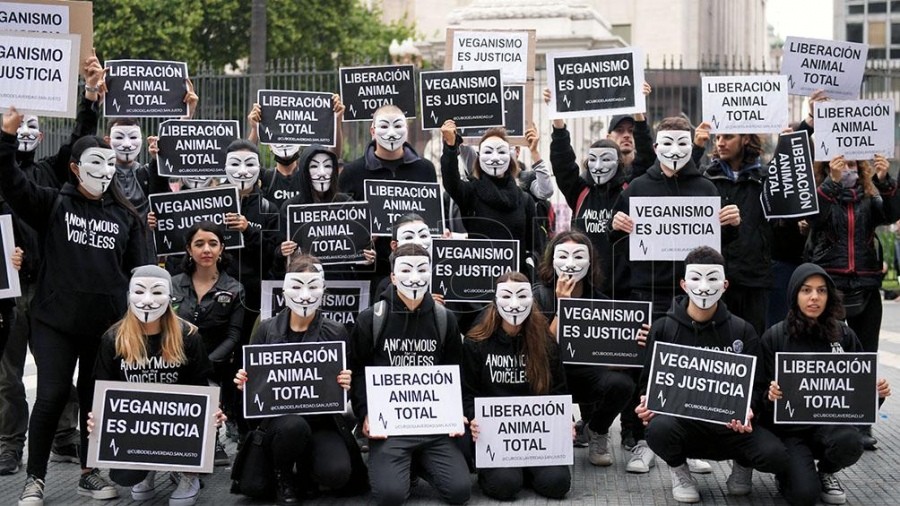 Veganos marcharon para visibilizar "la explotación que siguen padeciendo los animales" | Nacionales