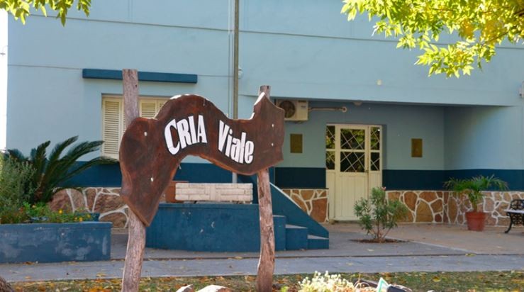 Abuso de un niño por grupo de menores: amenazaron a testigo “clave” | Nacionales