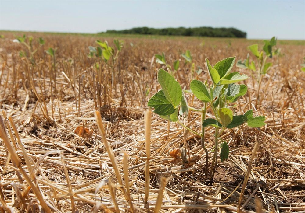 "La Niña": pronostican meses de calor y escasas lluvias | Información General