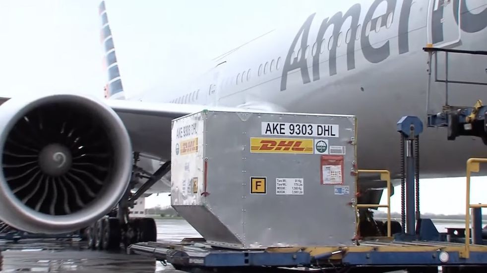 CanSino y Pfizer: llegaron más de 1,3 millones de vacunas contra el coronavirus | Nacionales