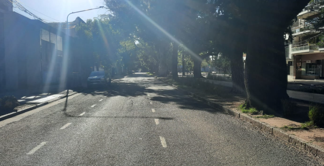 La semana empieza soleada y con tiempo primaveral en la ciudad | Información General