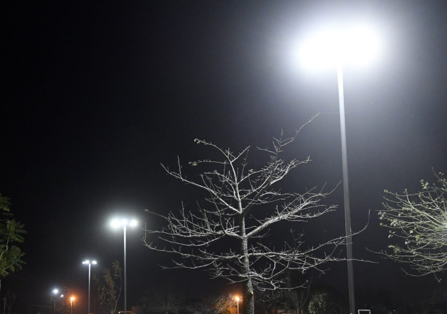 Los trabajos de iluminación y bacheo previstos para este jueves 11 de noviembre | Información General
