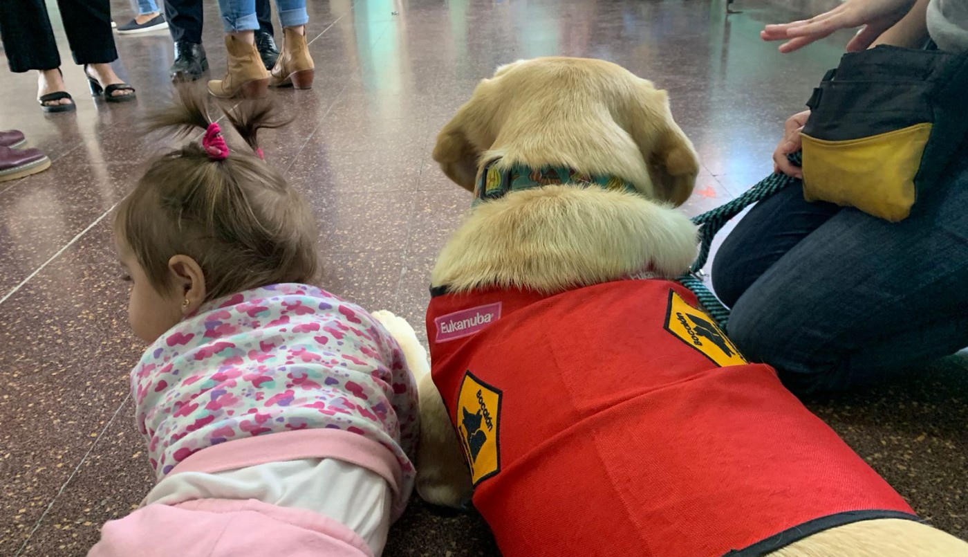 Experiencia inédita en una cárcel de La Plata: Vinculan perros de asistencia a niños que viven en contexto de encierro | Nacionales