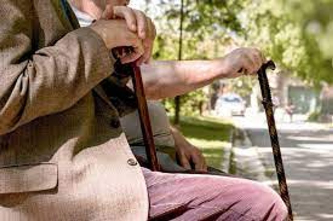 Los herederos podrán cobrar la jubilación de un fallecido sin hacer la sucesión | Información General