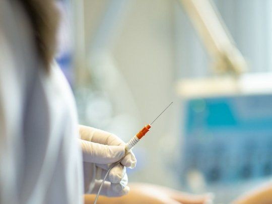 Argentina tiene un proyecto de Ley para regular la eutanasia en el país | Legislativas