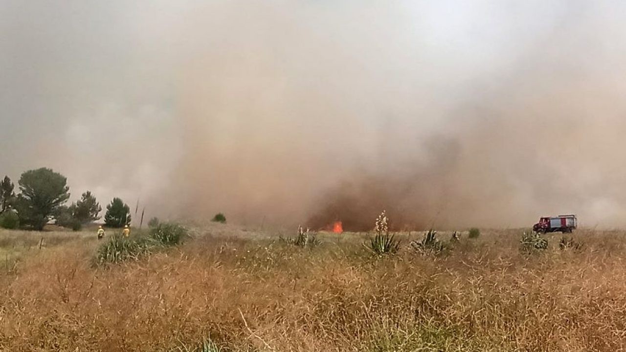 Con un avión hidrante y 15 dotaciones de bomberos controlan un incendio forestal en Mar Azul | Nacionales