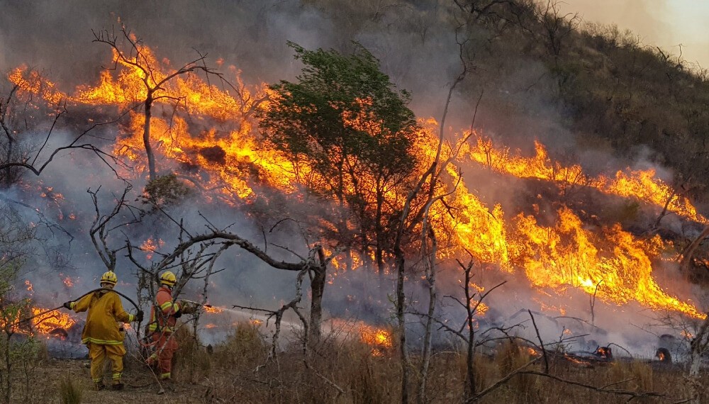 La Justicia condenó a un hombre como autor material de los incendios en Córdoba | Nacionales