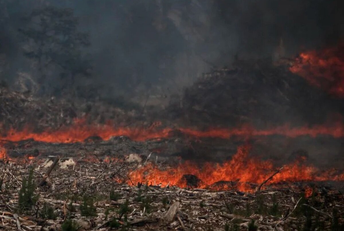 Solicitan brigadistas de Santa Fe para combatir los incendios en el sur del país | Noticias
