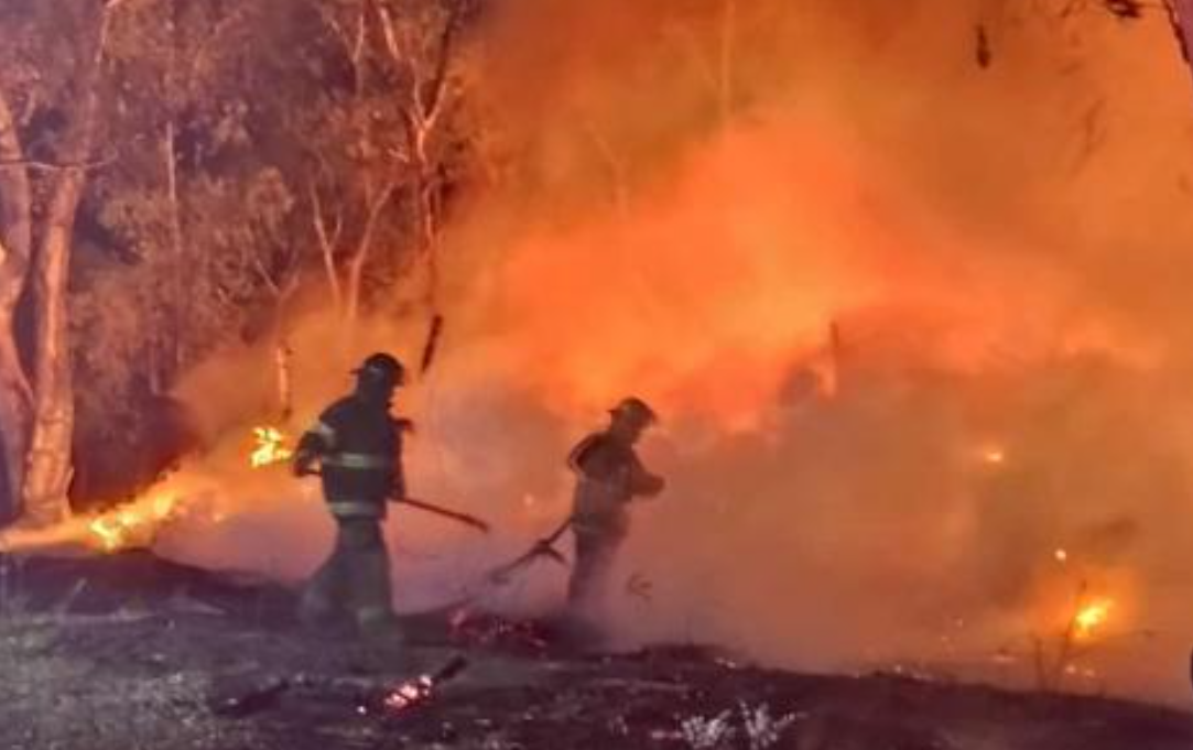 Los incendios en el sur de la ciudad afectaron el predio del Automóvil Club | Noticias