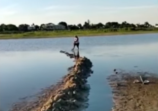 Javier Maillo: un ex Gran Hermano que se convirtió en “rescatista” de peces | Información General