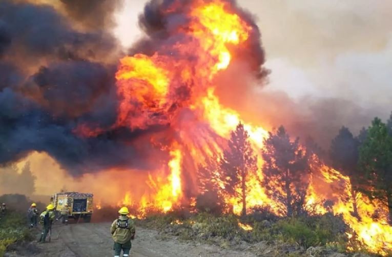 Incendios: Declaran la emergencia ígnea en todo el país | Noticias