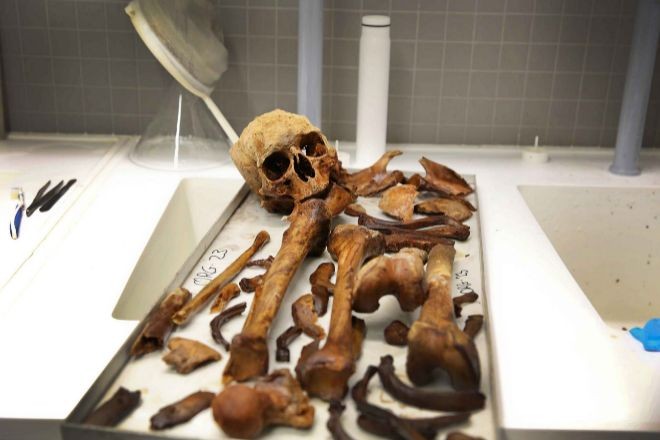 Crean biblioteca de huesos humanos que ayuda a resolver casos forenses | Información General