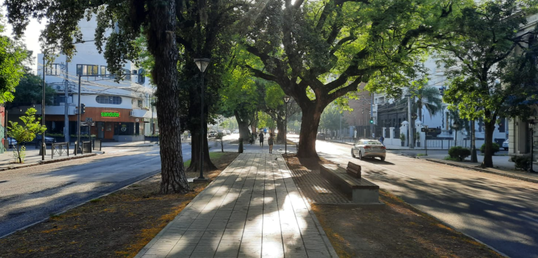 El calor sigue aflojando y se espera un jueves agradable en la ciudad | Información General
