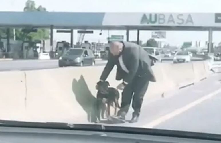 Video: Iba por la autopista, vio un perrito en el peaje y decidió rescatarlo | Información General