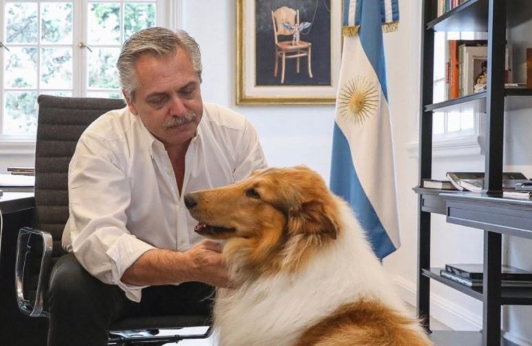 Alberto Fernández saludó a Dylan por su cumpleaños: "Feliz cumple al más compañero" | Nacionales