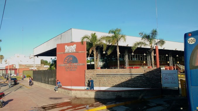 Tigre: detienen a 7 personas por comercializar PCR falsificados junto a pasajes de micro | Nacionales