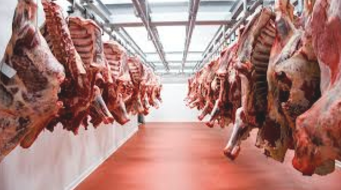 La carne aumentó un 60% durante 2021 a pesar de las restricciones | Noticias