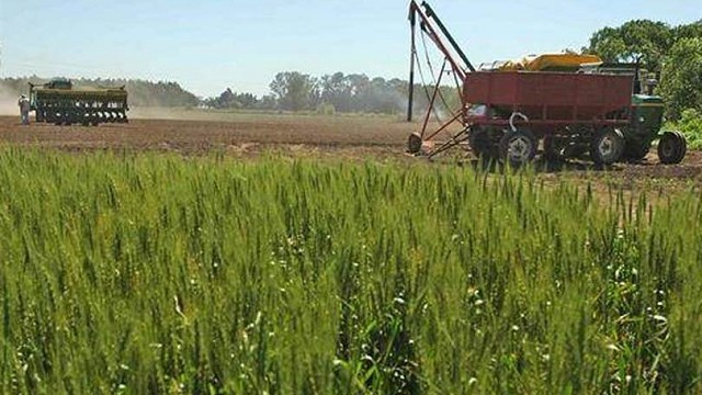 Las lluvias abrieron nuevas expectativas en los productores agrícolas | Noticias