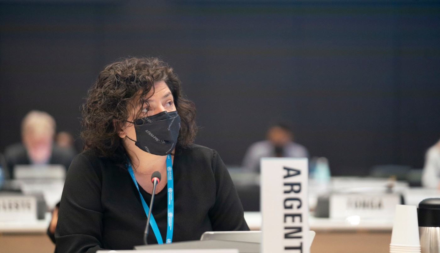 Ante la OMS, Vizzotti habló de la pandemia y remarcó: "La salud mental es un eje clave" | Nacionales