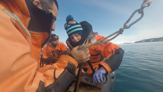 Antártida: Científicos argentinos investigarán microorganismos capaces de mitigar la contaminación | Información General