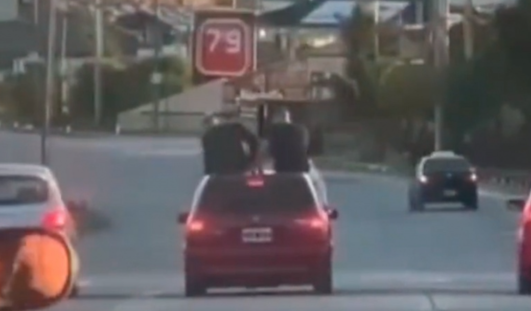 Piden suspender la licencia de conductor que llevó a dos personas sobre el techo de su auto | Policiales