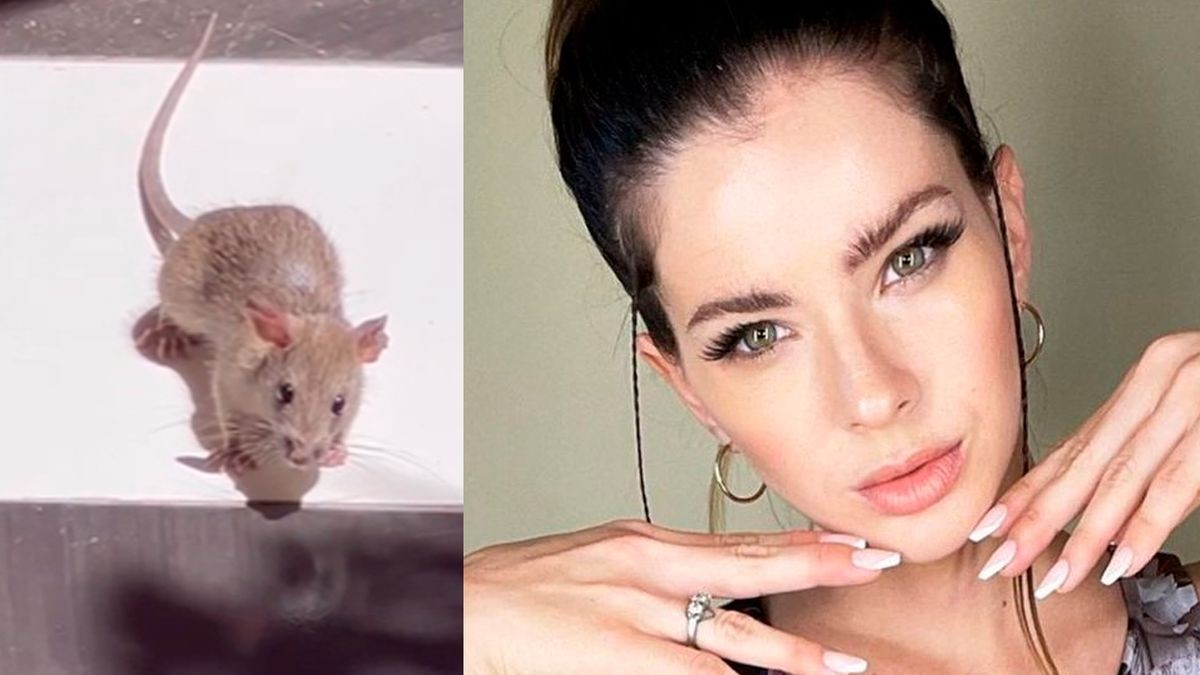 La particular reacción de la China Suárez al ver una rata en su casa | Espectaculos