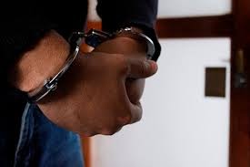 Horror en Mar del Plata: detuvieron a un hombre por abusar sexualmente de su bisnieta de 3 meses | Policiales