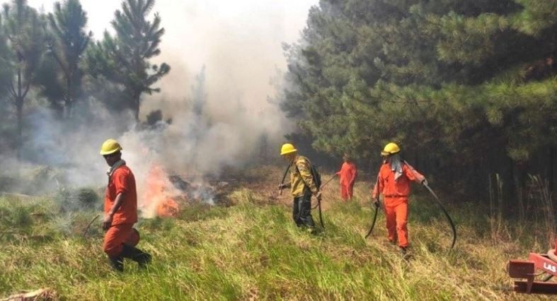 Brigadistas combaten focos activos de incendios forestales en Río Negro y Corrientes | Nacionales